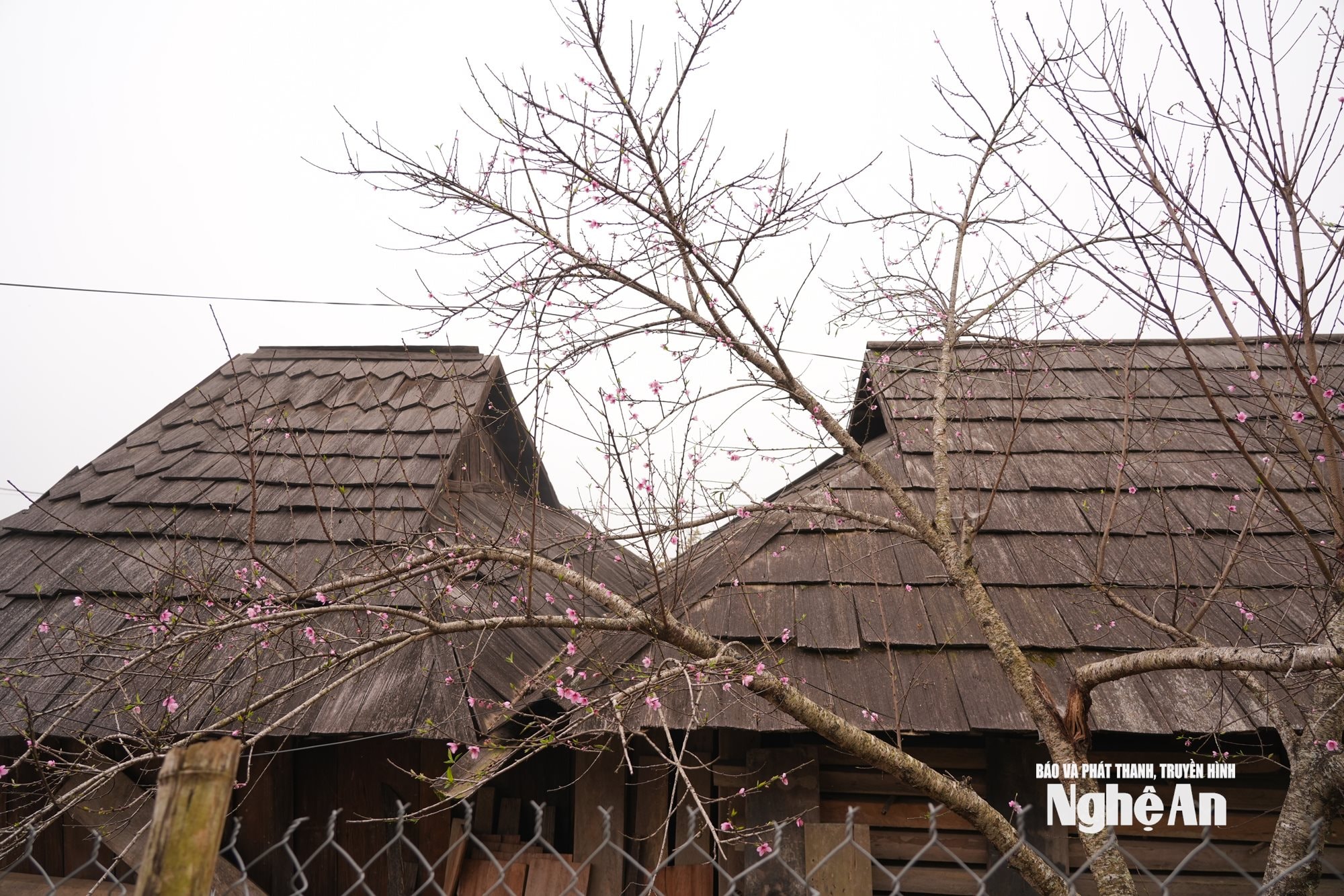 Những nếp nhà mái sa mu thâm trầm tạo nên vẻ đẹp rất riêng của Huồi Cọ. Ảnh KL