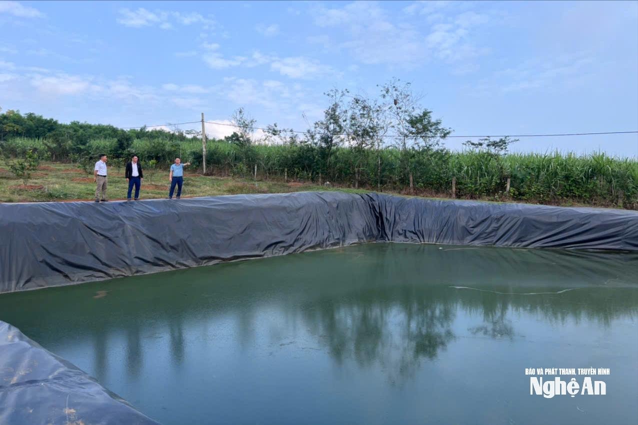 オーガニック ホーウファンフー-コ-タイトラン-トライ-クア-アン-ブイ-ヴァントロン(1).jpg