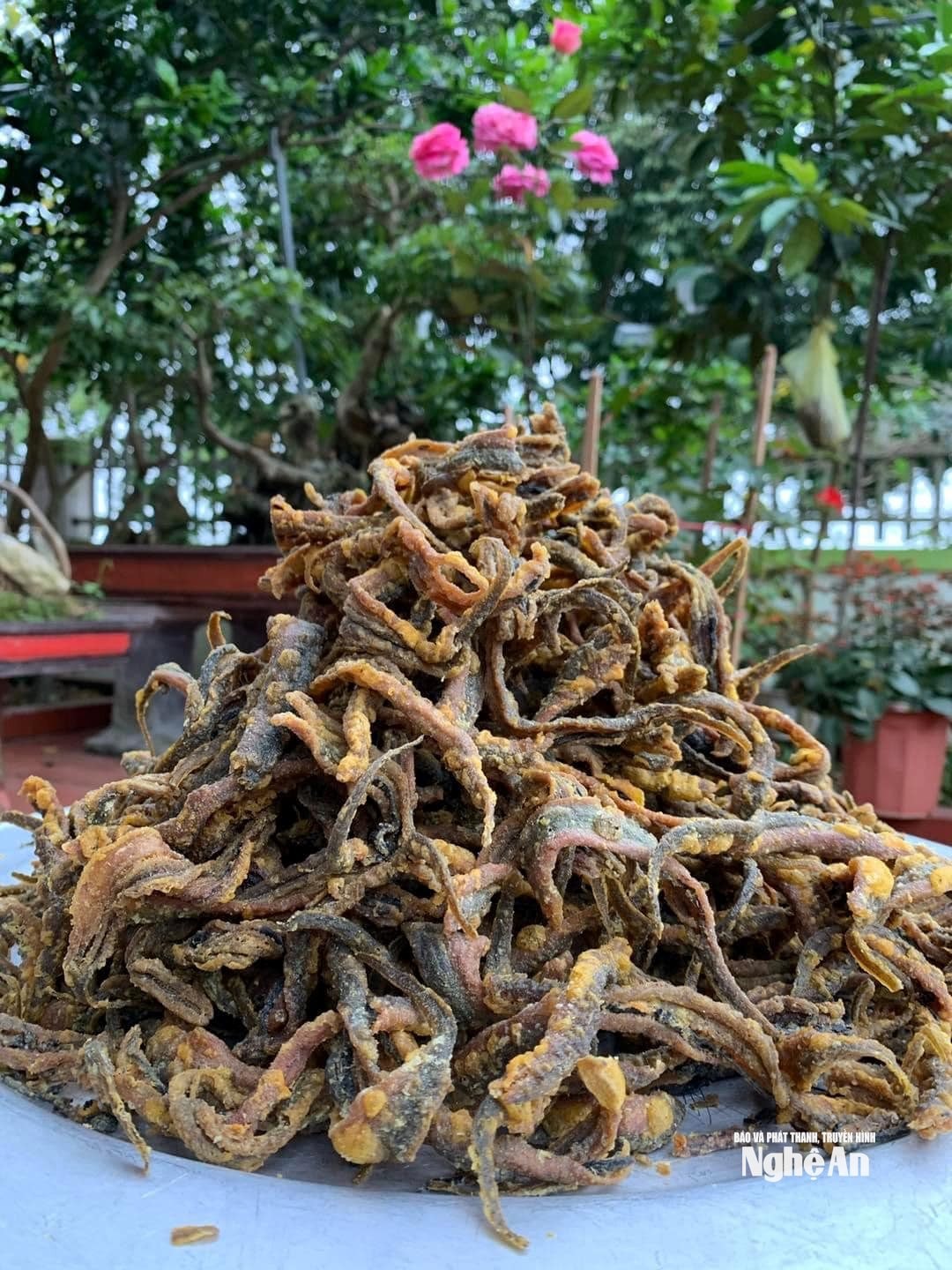 “Làm mới” món lươn bằng sản phẩm lươn khô chiên giòn song vẫn giữ được hương vị đặc sản của quê hương. Ảnh TP
