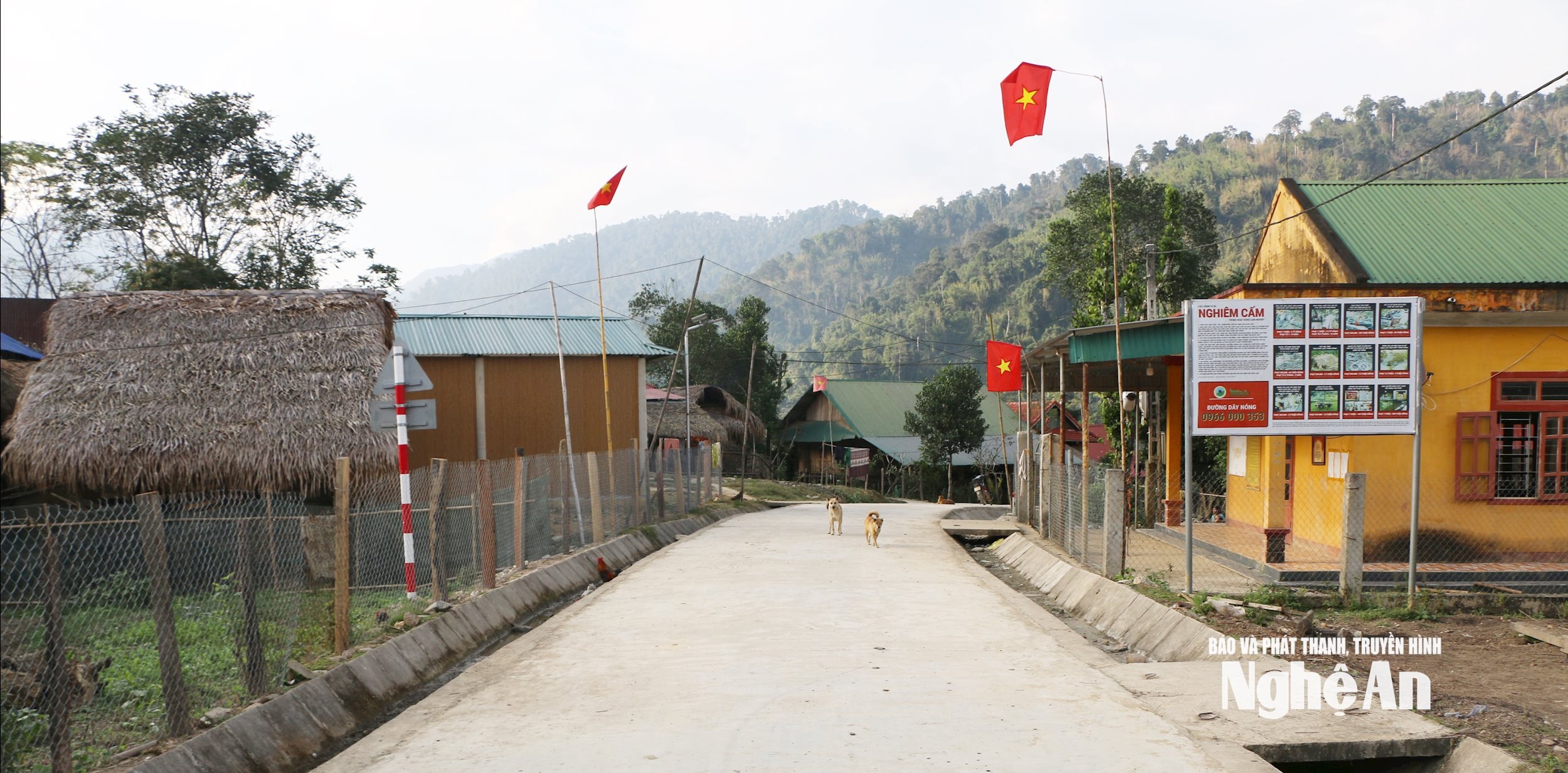 Đường vào bản Búng đã được đổ bê tông phẳng lì. Ảnh TP