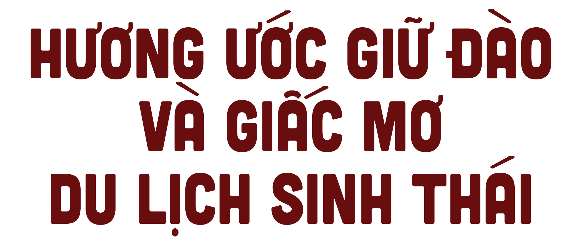 titiphu1(1).png