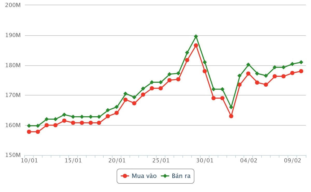 Biểu đồ giá vàng miếng SJC dao động từ ngày 10 tháng 01 năm 2026 đến chiều ngày 10 tháng 02 năm 2026 lúc 10h