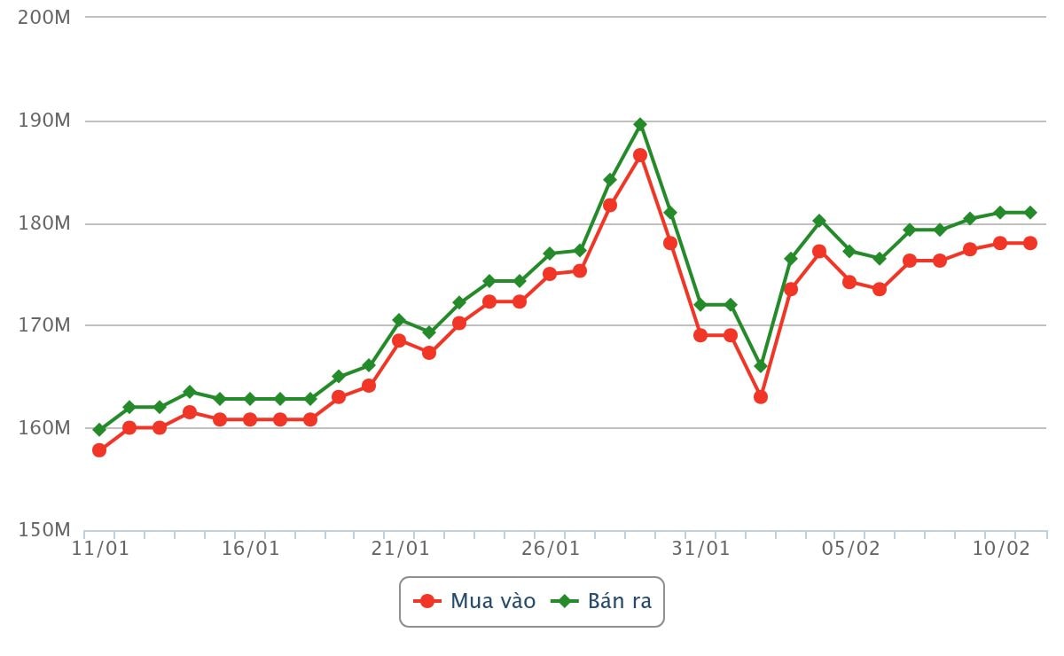 Biểu đồ giá vàng miếng SJC dao động từ ngày 11 tháng 01 năm 2026 đến trưa ngày 11 tháng 02 năm 2026 lúc 12h