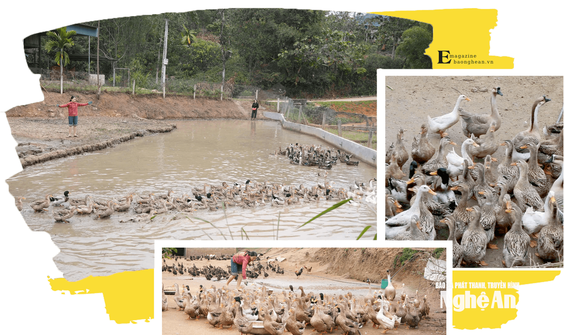 bna_anh1(1).png