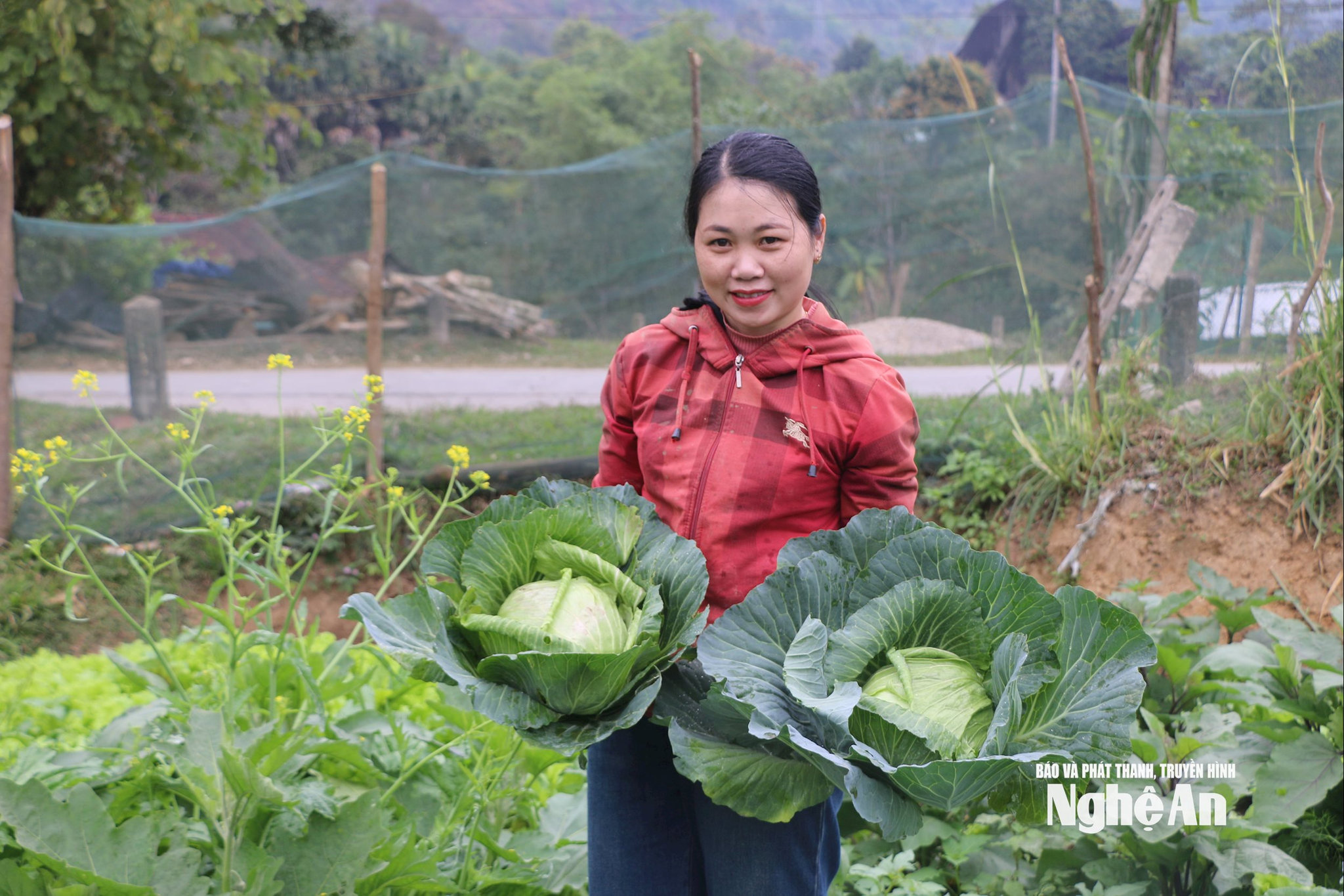 Chị Lương Thị Hồng cũng là người đi tiên phong tuyên truyền vận động chị em cải tạo ruộng hoang trồng rau sạch. Ảnh KL