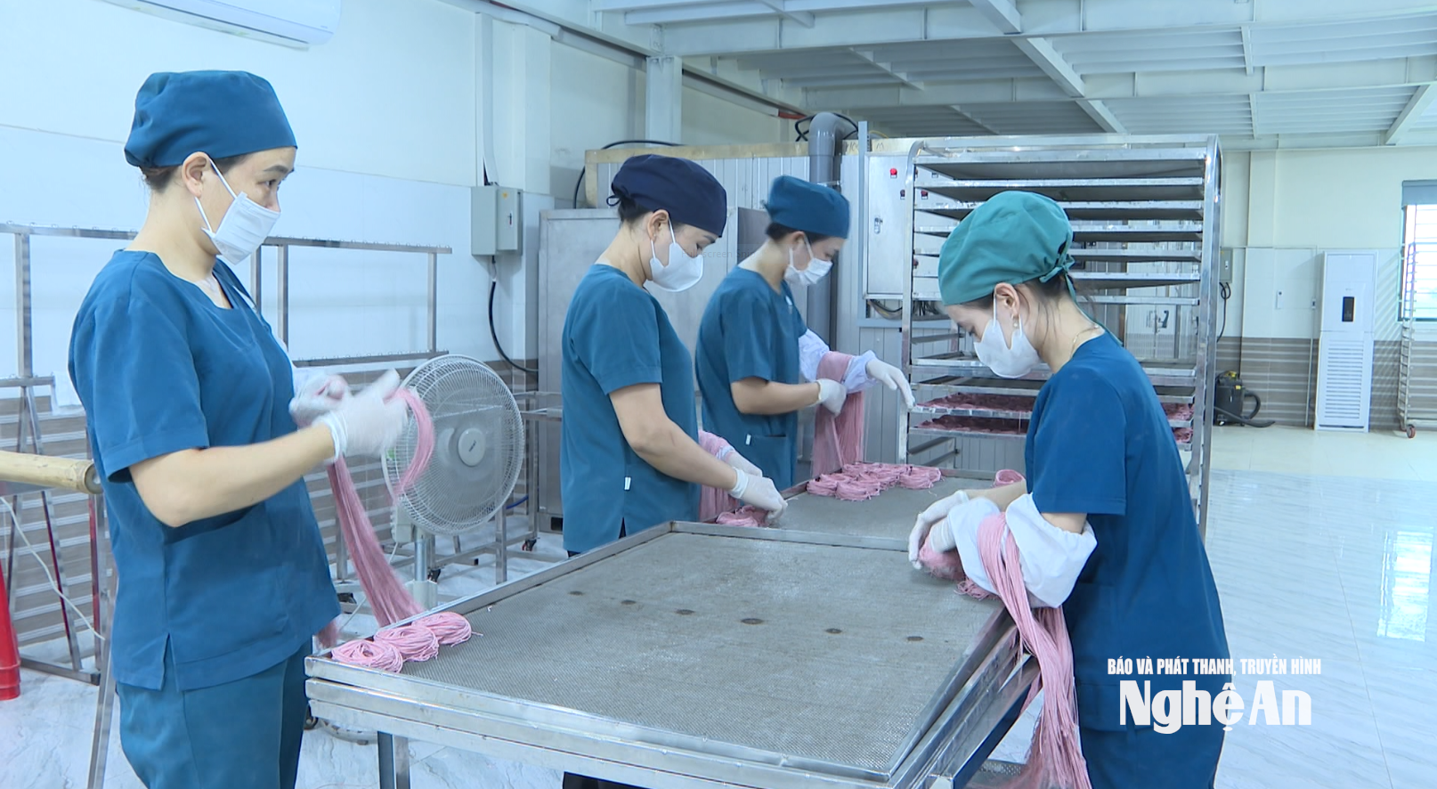 إنتاج نودلز الخضار العضوية في شركة آن آن الزراعية المساهمة. صورة من تصوير هوانغ فيت آنه.