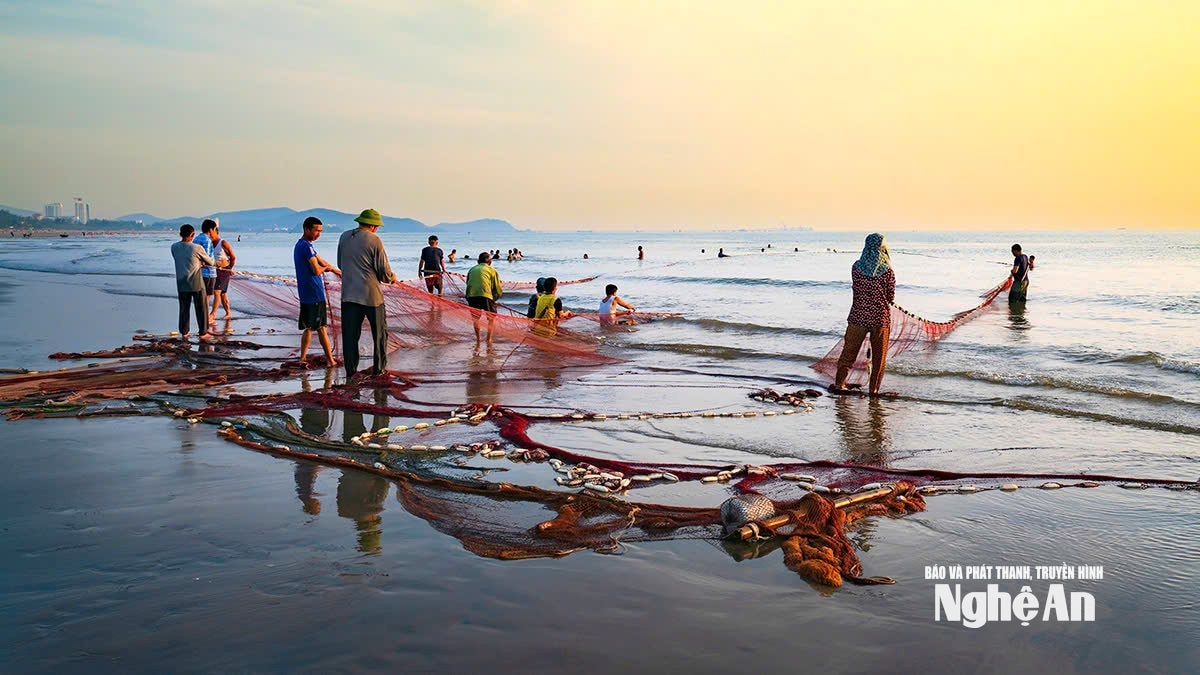 Du khách tham gia kéo lưới cùng ngư dân trên bãi biển Cửa Lò. Ảnh: Mai Hoa