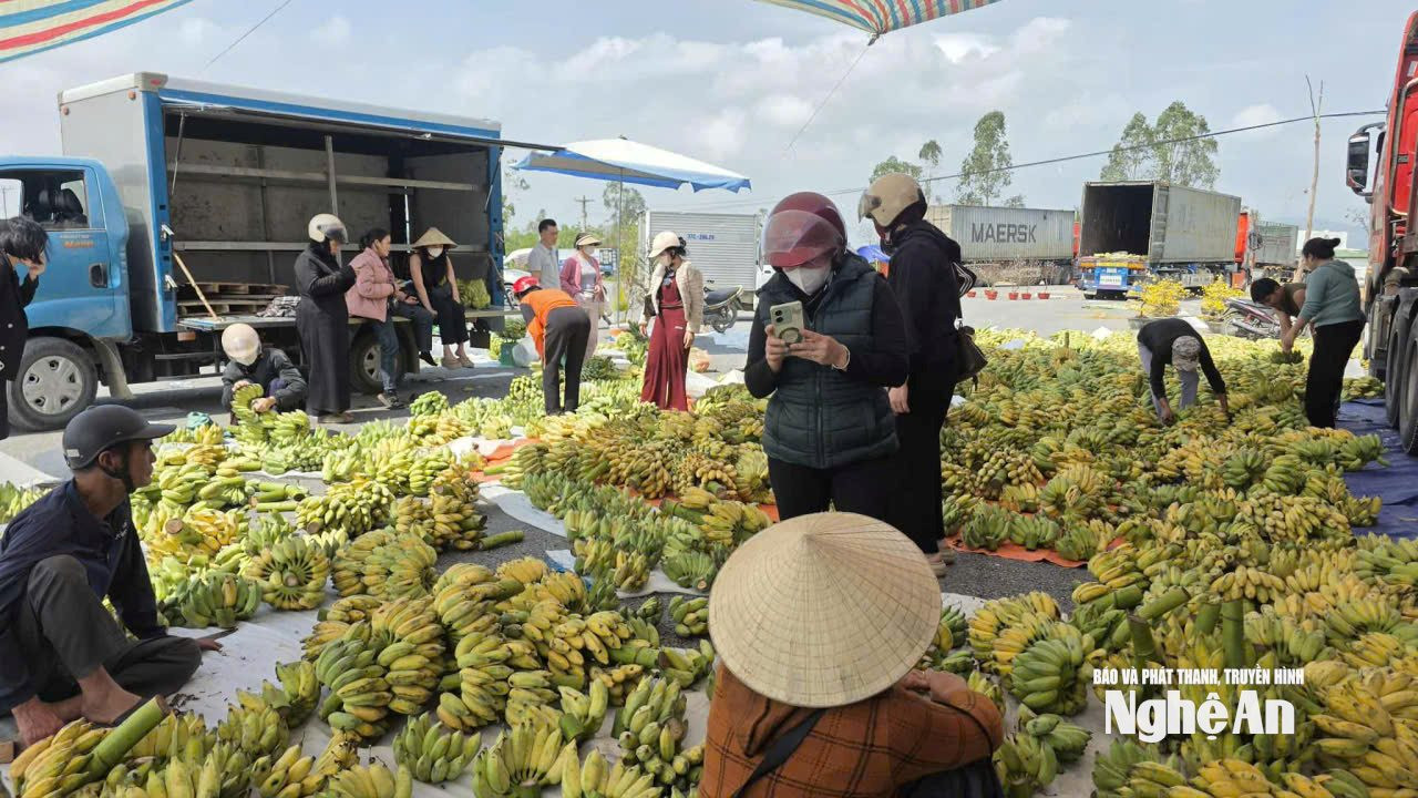 Từ