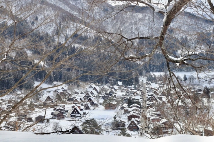 Toàn cảnh ngôi làng Shirakawa-go từ đài quan sát Shiroyama