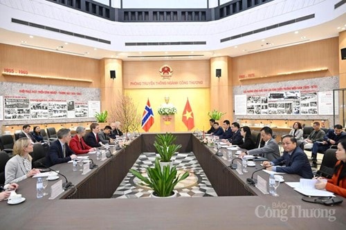Toàn cảnh buổi làm việc giữa Quyền Bộ trưởng Bộ Công Thương Lê Mạnh Hùng và ông Åsmund Aukrust, Bộ trưởng Phát triển quốc tế Na Uy.