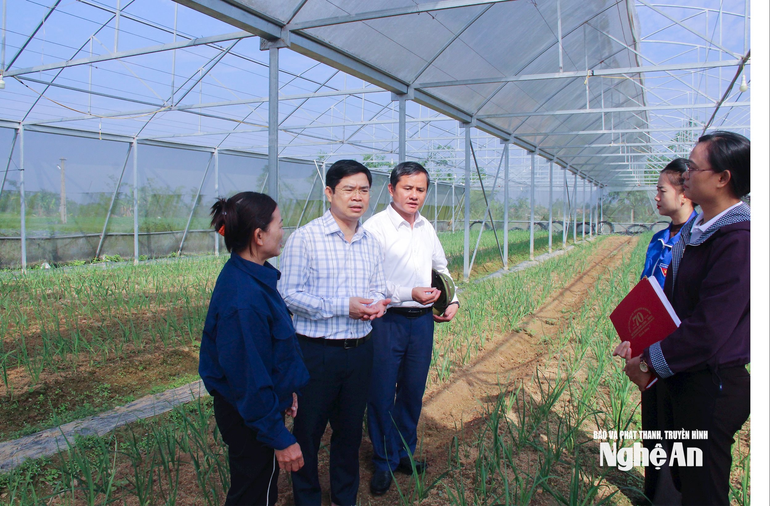  Cán bộ, chuyên viên xã Đại Đồng tìm hiểu mô hình trồng tỏi trong nhà màng theo tiêu chuẩn Vietgap trên địa bàn. Ảnh Mai Hoa