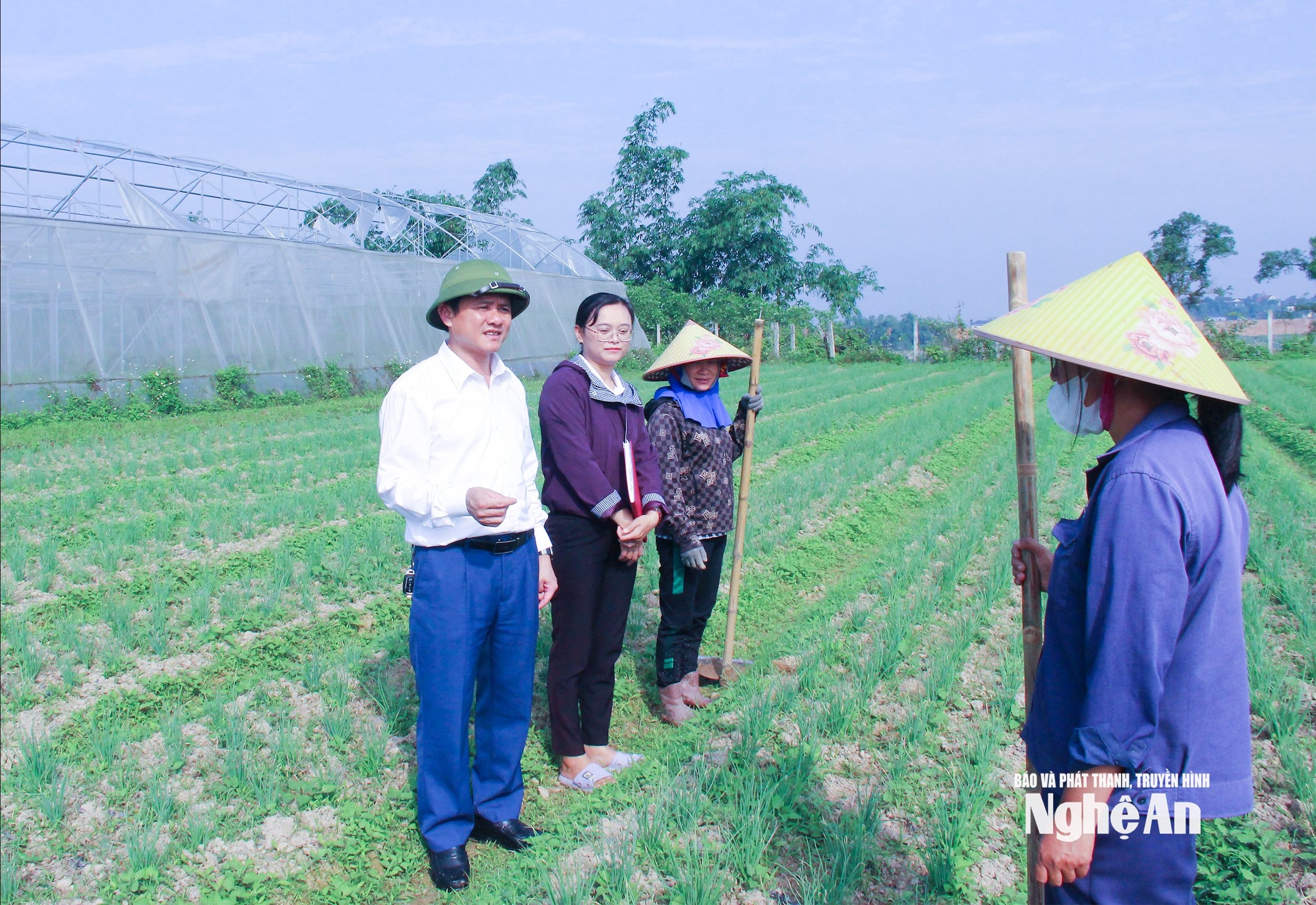 Cán bộ xã Đại Đồng tuyên truyền, đông viên nhân dân chuyển đổi cơ cấu cây trồng trên diện tích đất bãi. Ảnh Mai Hoa