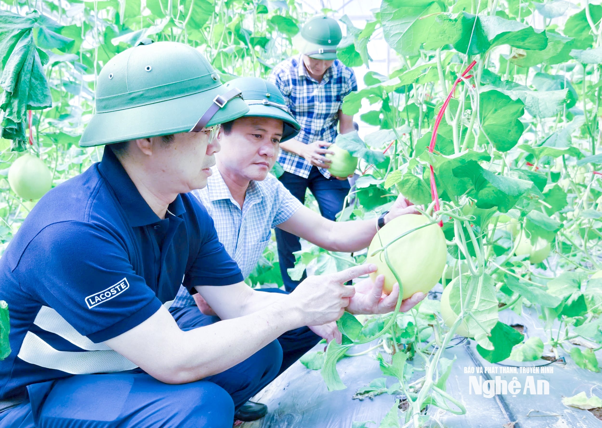 Cán bộ xã Đại Đồng khảo sát mô hình kinh tế nông nghiệp trên địa bàn