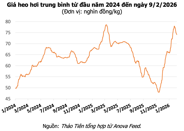 Bảng giá heo hơi hôm nay tại miền Nam ngày 9/2