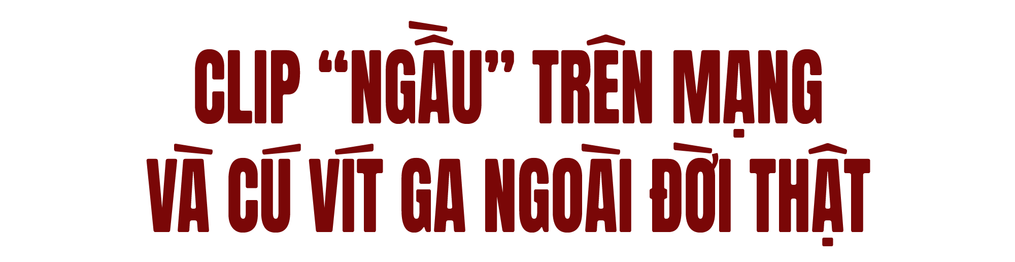 titphu2(1).png
