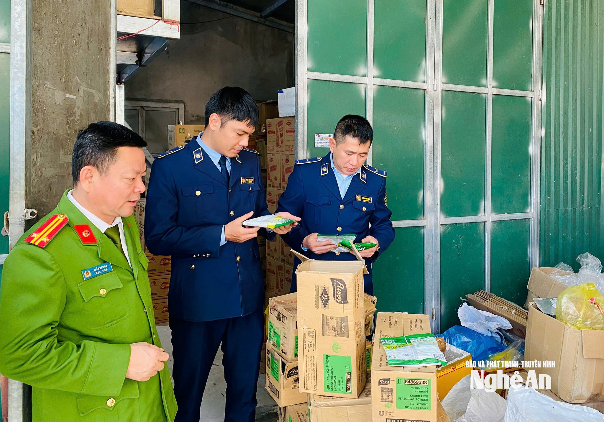 QLTT số 11