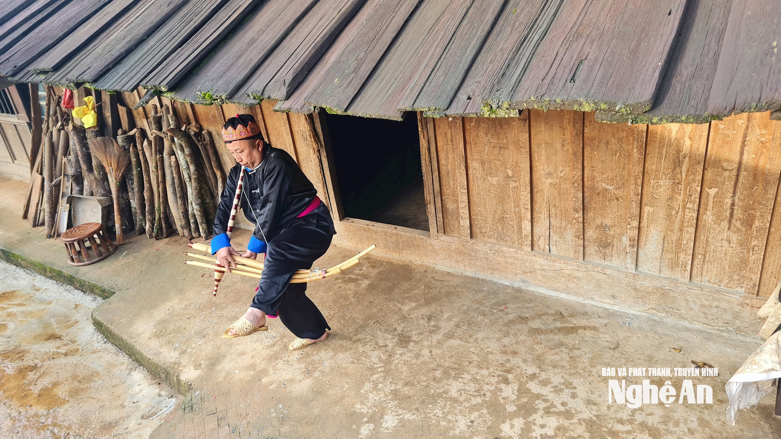 gà lầu phổng