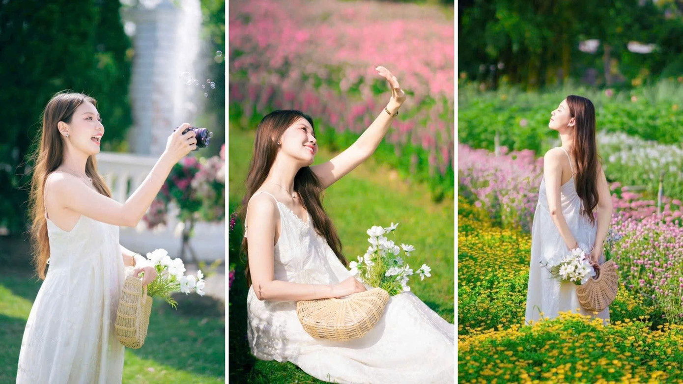 Ánh sáng buổi sáng tại vườn hoa