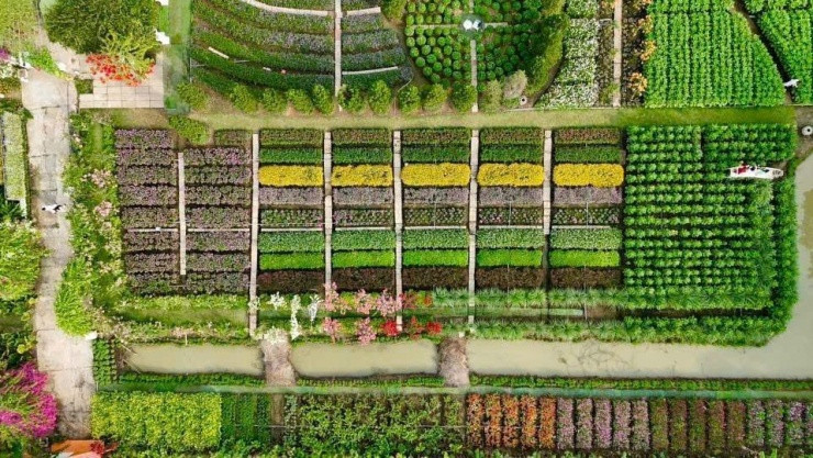 Các loài hoa được trồng nối tiếp nhau tạo hiệu ứng màu sắc ấn tượng.