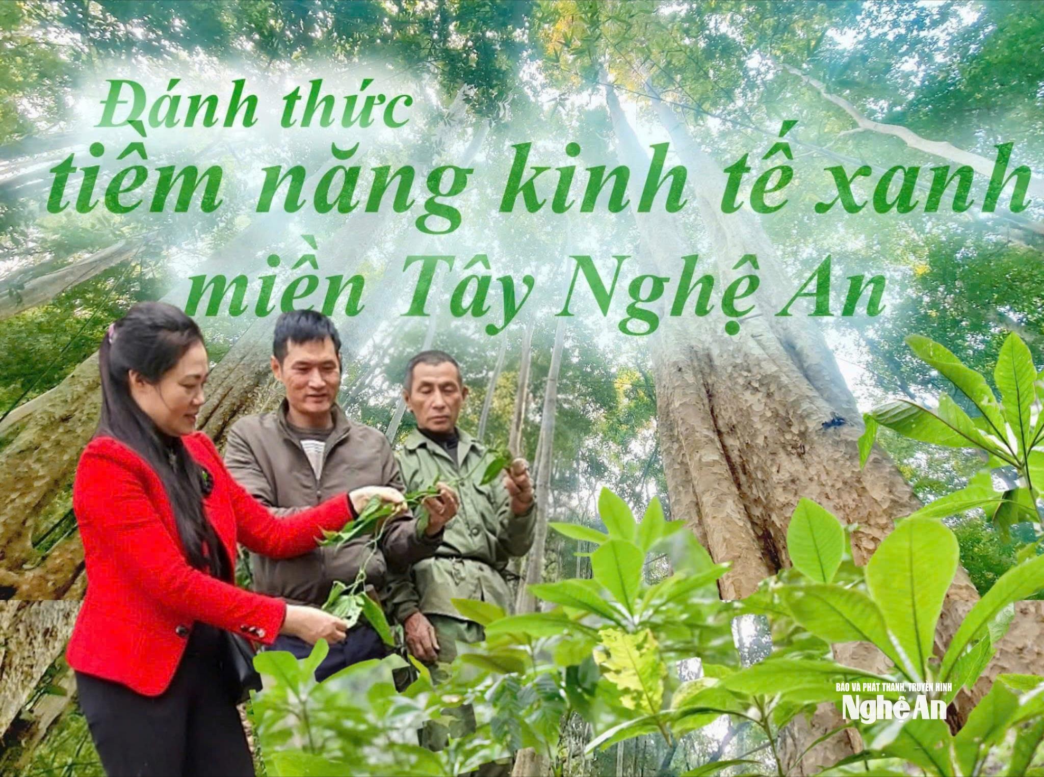 bia-chinh-(1).jpg