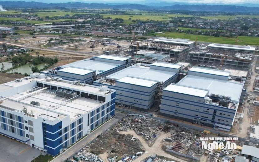  các tâpfj đàn