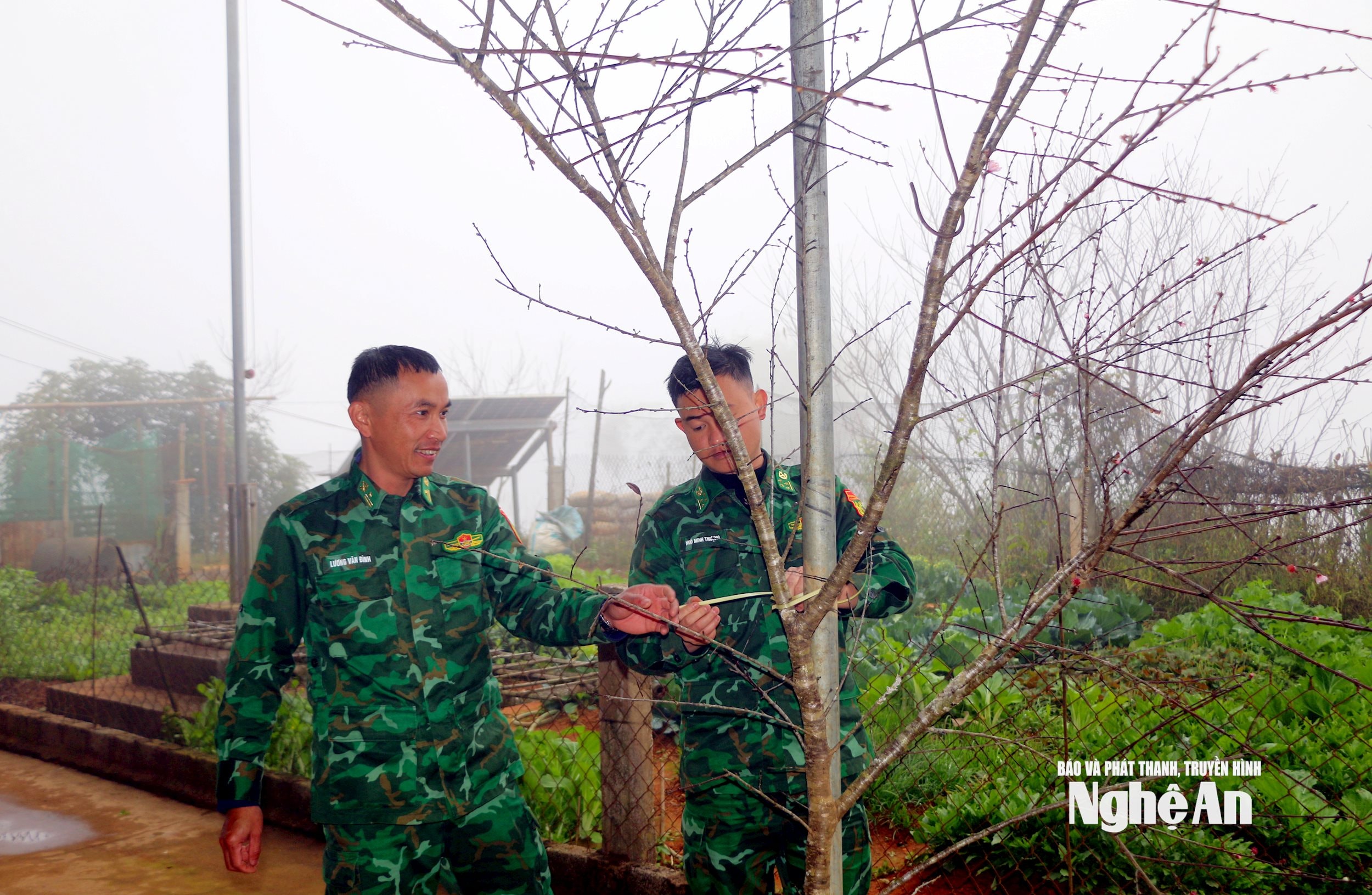 Cán bộ biên phòng tổ công tác Huồi Mới chuẩn bị trang trí cành đào đón Tết. Ảnh TP2