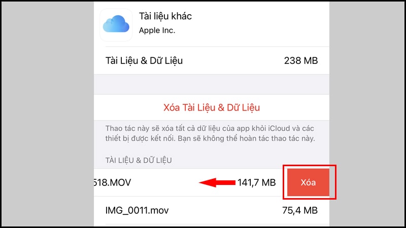 Xóa tệp trên iCloud Drive