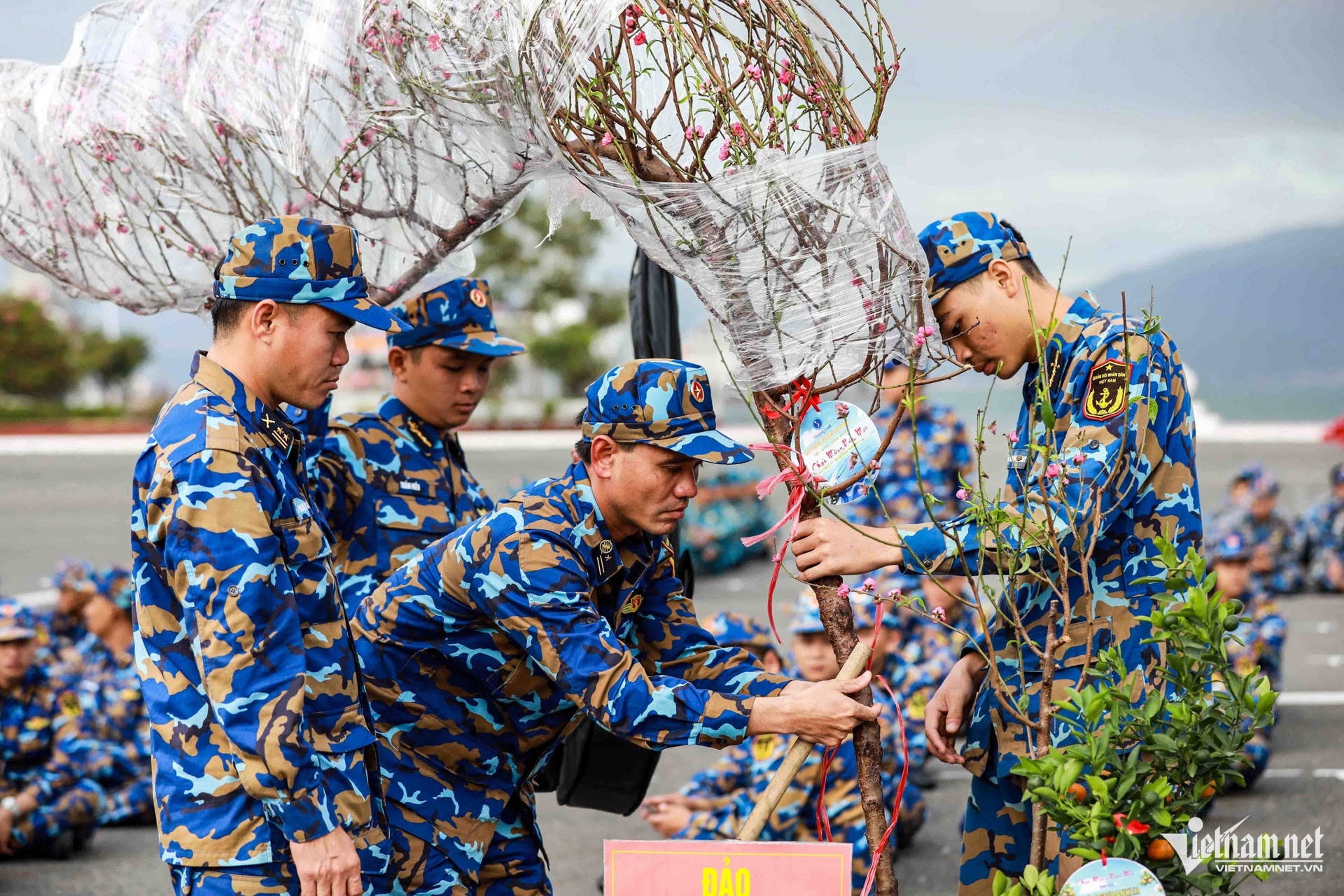 https://static-images.vnncdn.net/vps_images_publish/000001/000003/2026/2/16/w-truong-sa-1-1612.jpg