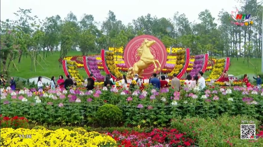 Du xuan dau nam