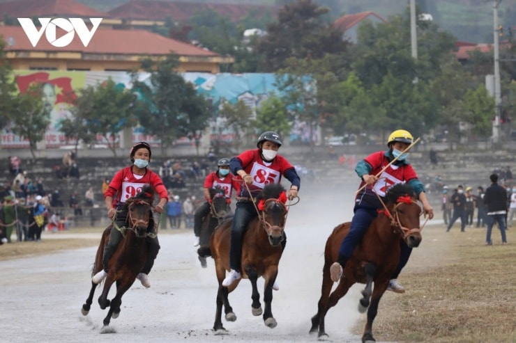 Cưỡi ngựa không yên tại Bắc Hà