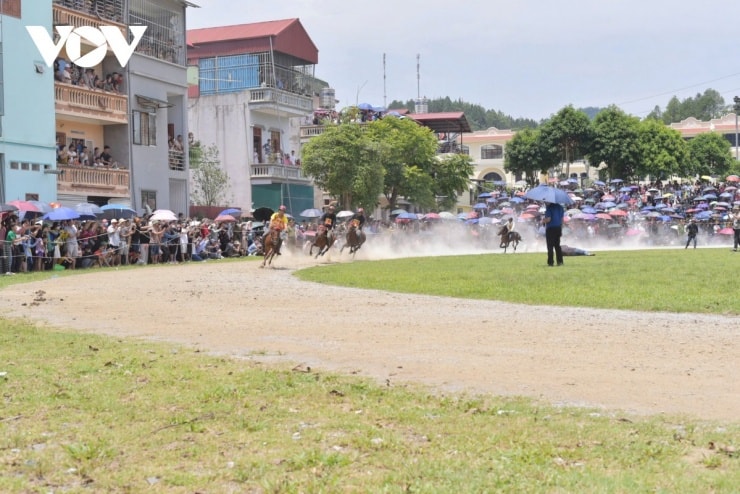 Toàn cảnh cuộc đua ngựa náo nhiệt