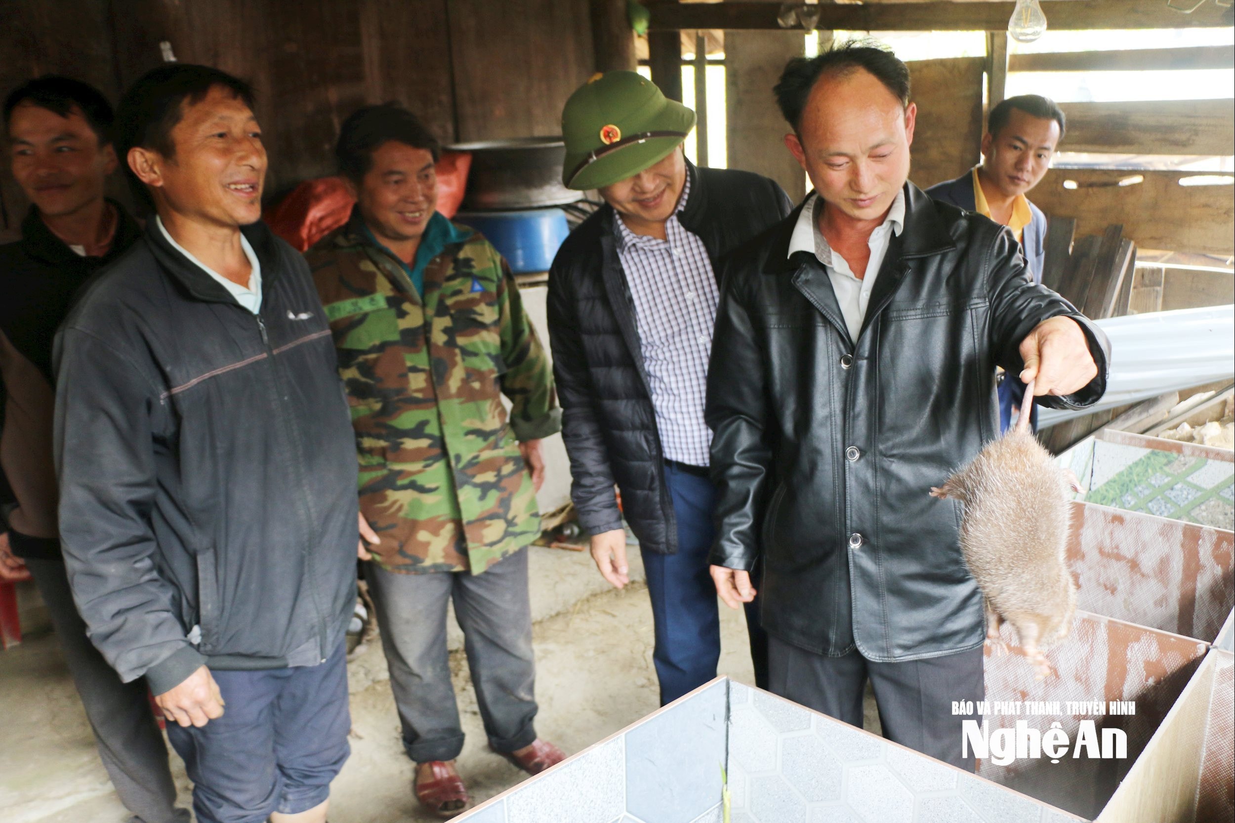 Nhiều người dân xã Nhôn Mai khởi nghiệp bằng mô hình nuôi dúi. Ảnh KL