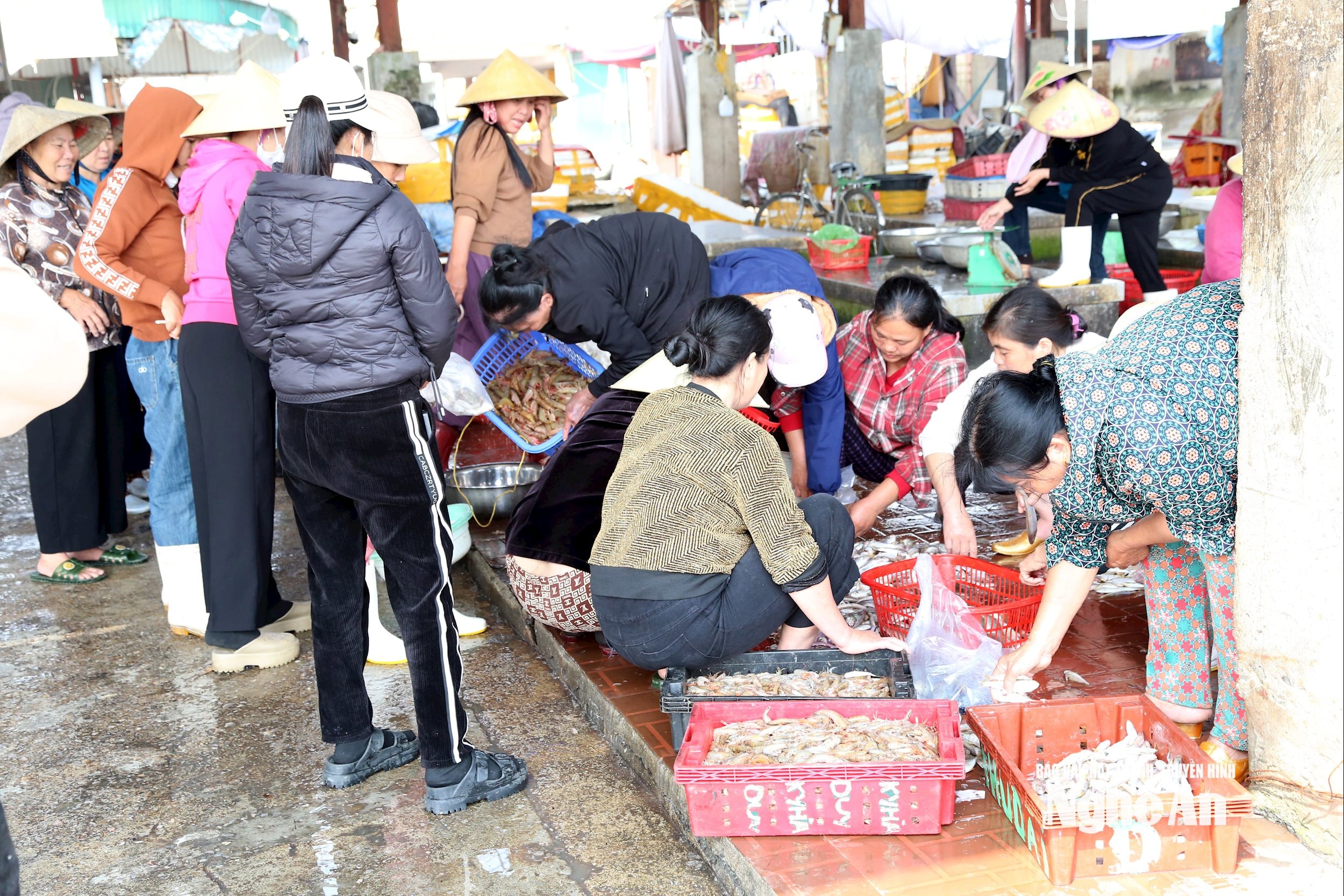 ra dong 3 (1)