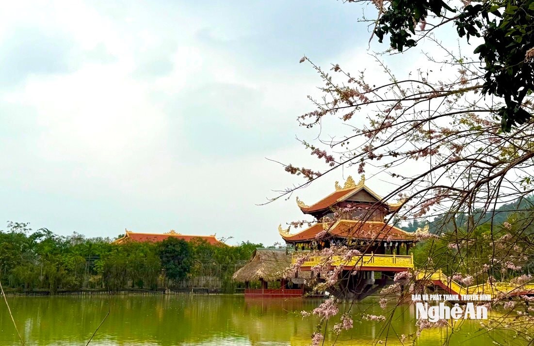 Không gian thanh tịnh, vẻ đẹp thiên nhiên hòa quyện cùng kiến trúc trang nghiêm của Thiền viện Trúc Lâm Yên Thành. Ảnh: Văn Trường
