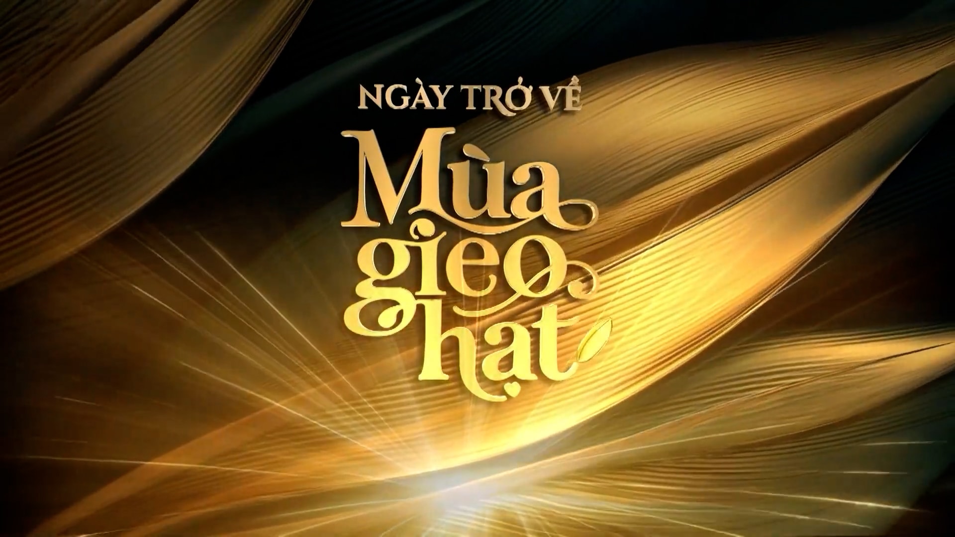 Hạt giống Việt bền bỉ nảy mầm nơi xứ người