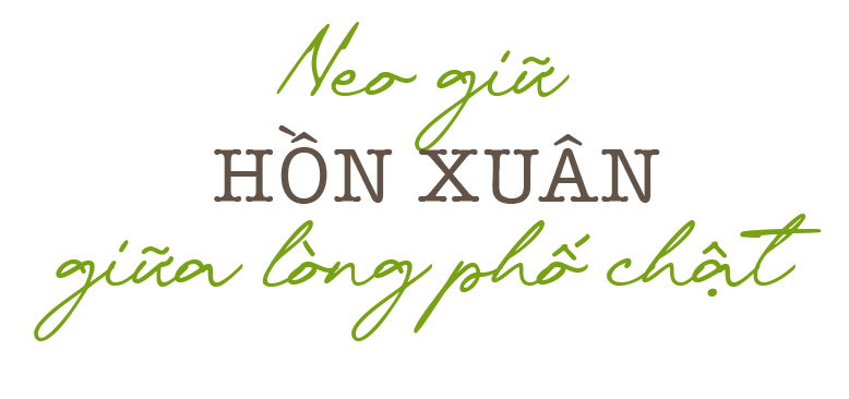 Bản sao covenepxuadetTetnay2 3