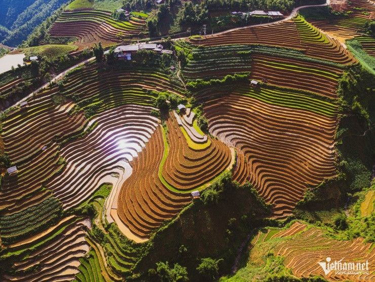 Ruộng bậc thang Mù Cang Chải uốn lượn giữa núi rừng