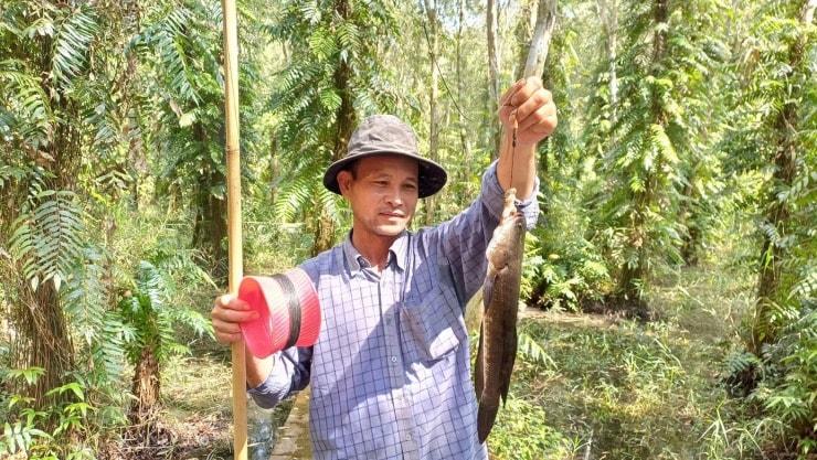 Du khách tham gia các hoạt động trải nghiệm như câu cá, đặt trúm tại rừng U Minh Hạ.