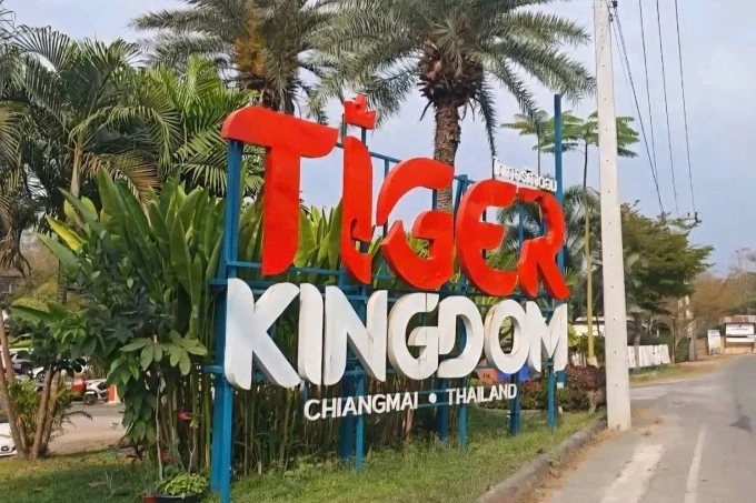 Lối vào khu du lịch Tiger Kingdom tại Chiang Mai hiện đã tạm đóng cửa để phục vụ công tác chống dịch.