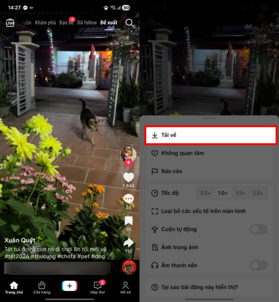 Thao tác tải video từ TikTok về điện thoại