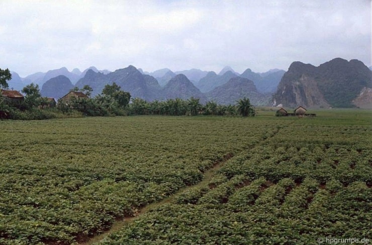 Cảnh quan vùng ven chùa Hương cách đây 35 năm