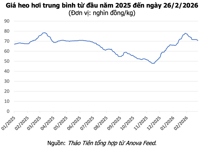 Hỗ trợ chăn nuôi heo tại Đắk Lắk