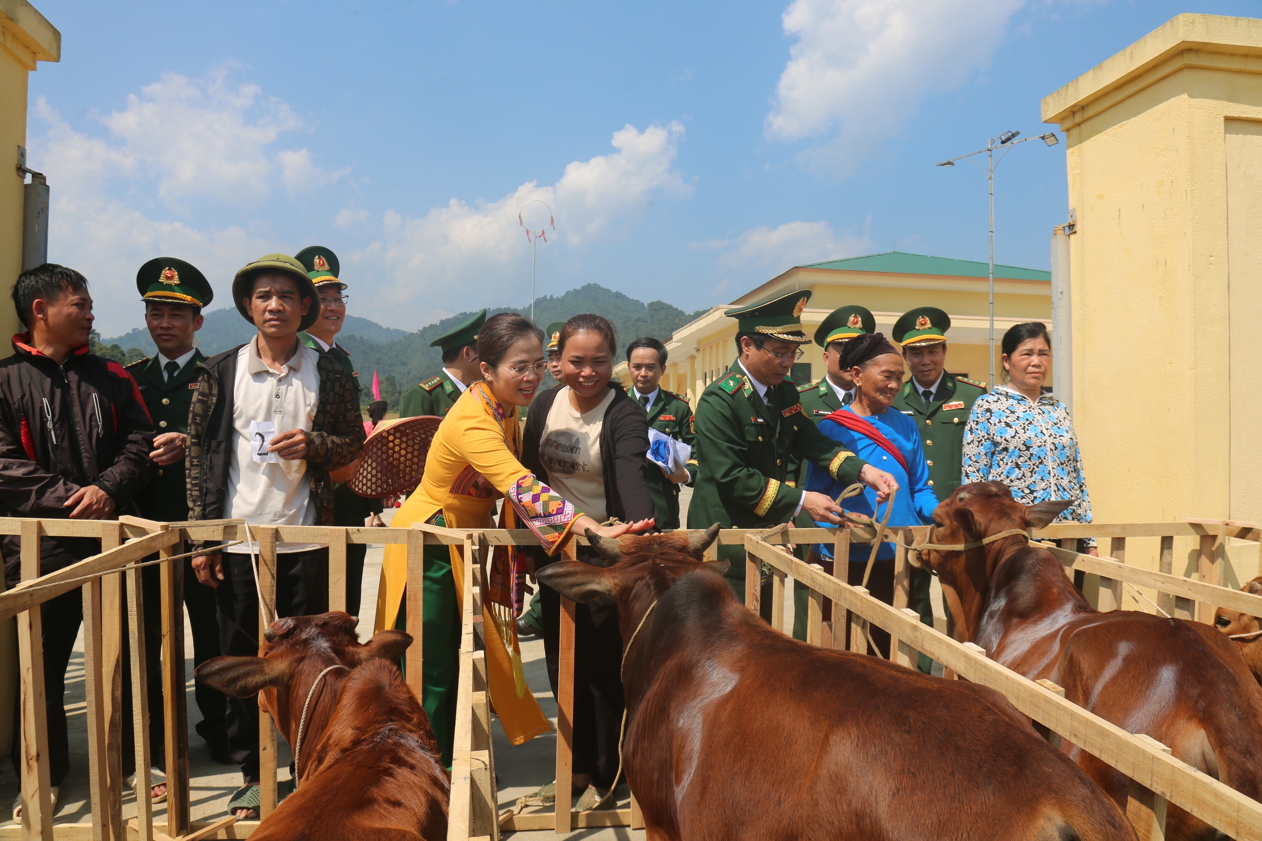 anh14.jpg