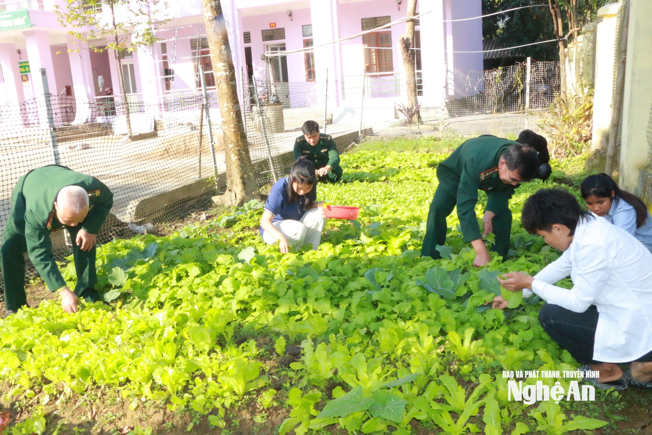 Tổ công tác biên phòng và học sinh ở khu kí túc xá vùng biên chăm sóc vườn rau. Ảnh KL