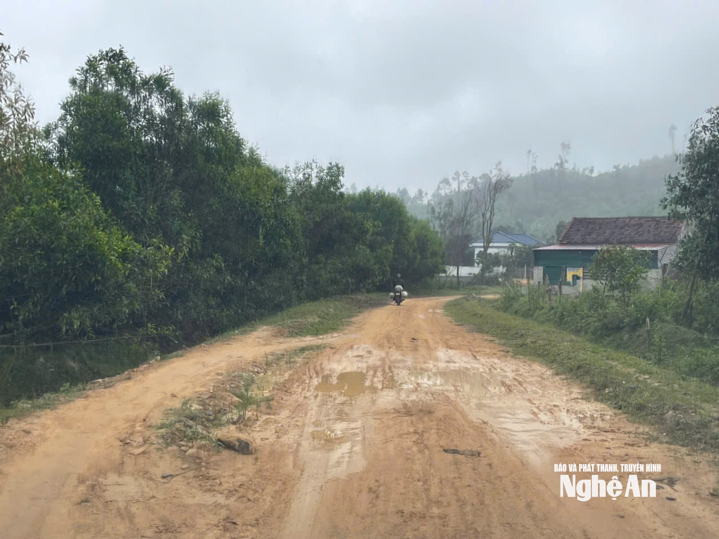 Một đoạn lầy lội của tuyến đường cứu hộ, cứu nạn nối từ tỉnh lộ 542E vào đập Khe Ngang (thuộc xã Hưng Yên Bắc cũ). Ảnh: Tiến Đông