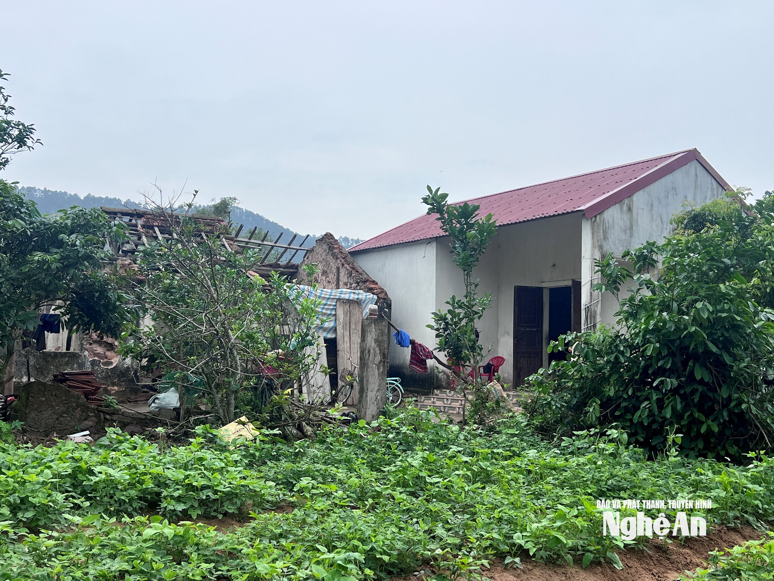 La casa, costruita con amore e compassione per i quattro nonni e le loro nipoti. Foto di Ngoc Dung.