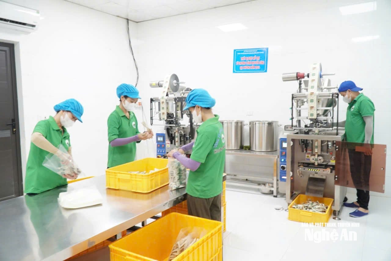Cơ sở sản xuất các sản phẩm nông nghiệp của chị Đặng Thị Nga. Ảnh - MH