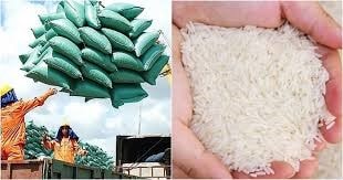 Hoạt động bốc xếp gạo xuất khẩu tại cảng