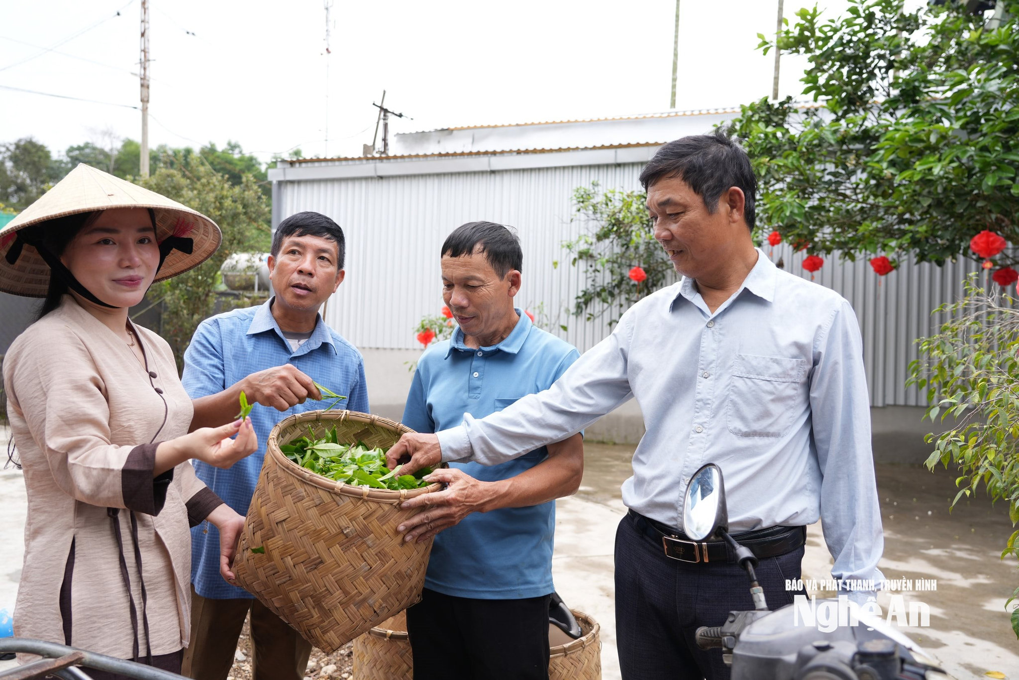 Lê Thảo My đã kết nối những ngừoi dân tâm huyết mở hướng phát triển cây chè Gay. Ảnh KL
