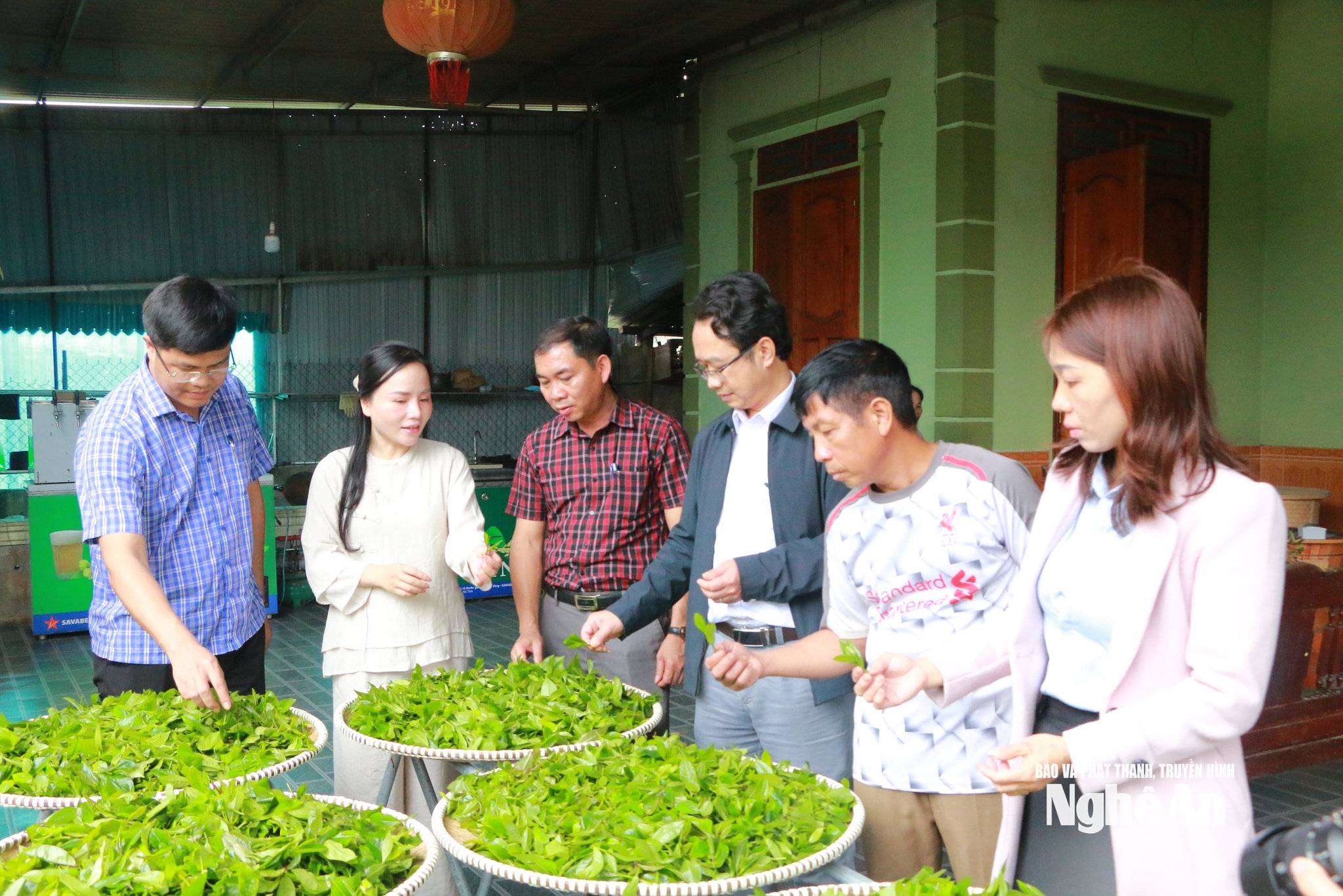 Lê Thảo My trao đổi với lãnh đạo địa phương về ý tưởng tạo ra các loại trà từ chè Cao Sơn. Ảnh KL2